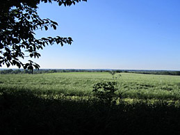 Blick über Felder