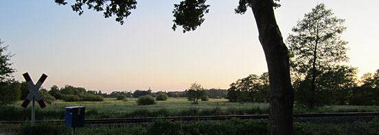 Felderblick